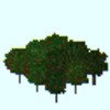 orchard-trees-summer.png